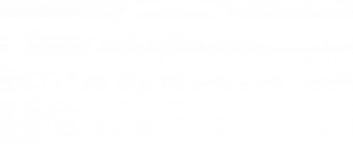 Wisper Business